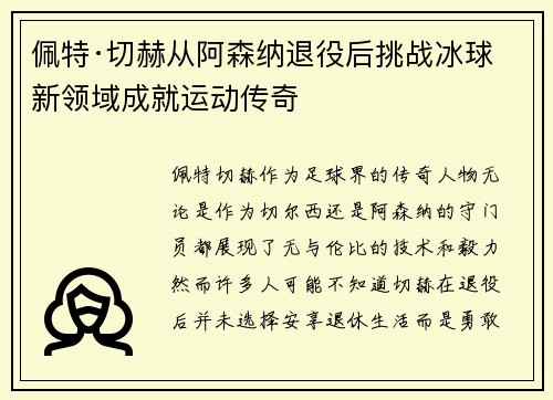 佩特·切赫从阿森纳退役后挑战冰球新领域成就运动传奇 佩特·切赫从阿森纳退役后挑战冰球新领域成就运动传奇